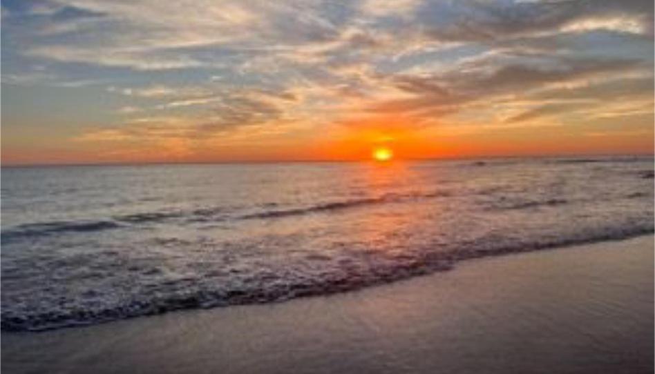 Terreno en venta en Carril de Los Sánchez, 1, El Palmar, Vejer de la Frontera - imagen 1 Foto 1 de Terreno en venta en Carril de Los Sánchez, 1, El Palmar, Vejer de la Frontera