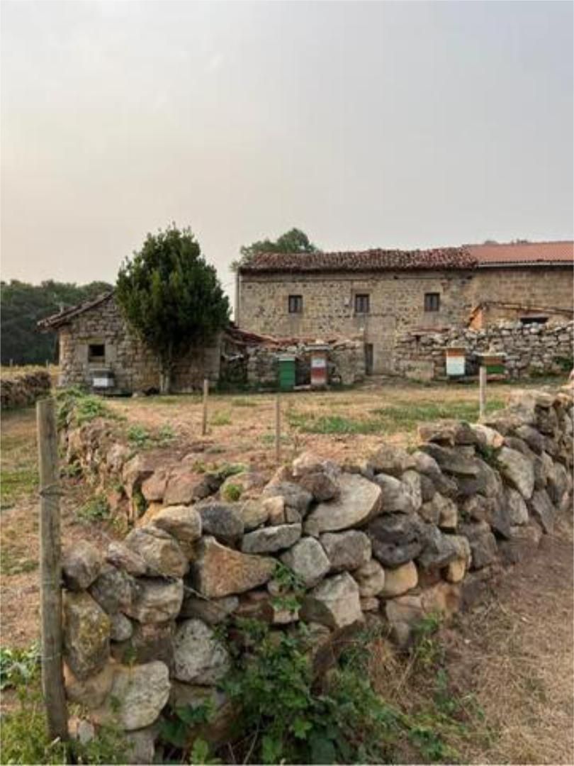 Exterior view of House or chalet for sale in Valdeprado del Río
