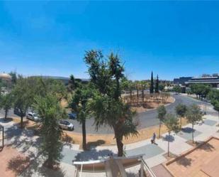 Exterior view of Study for sale in  Sevilla Capital  with Heating, Private garden and Swimming Pool