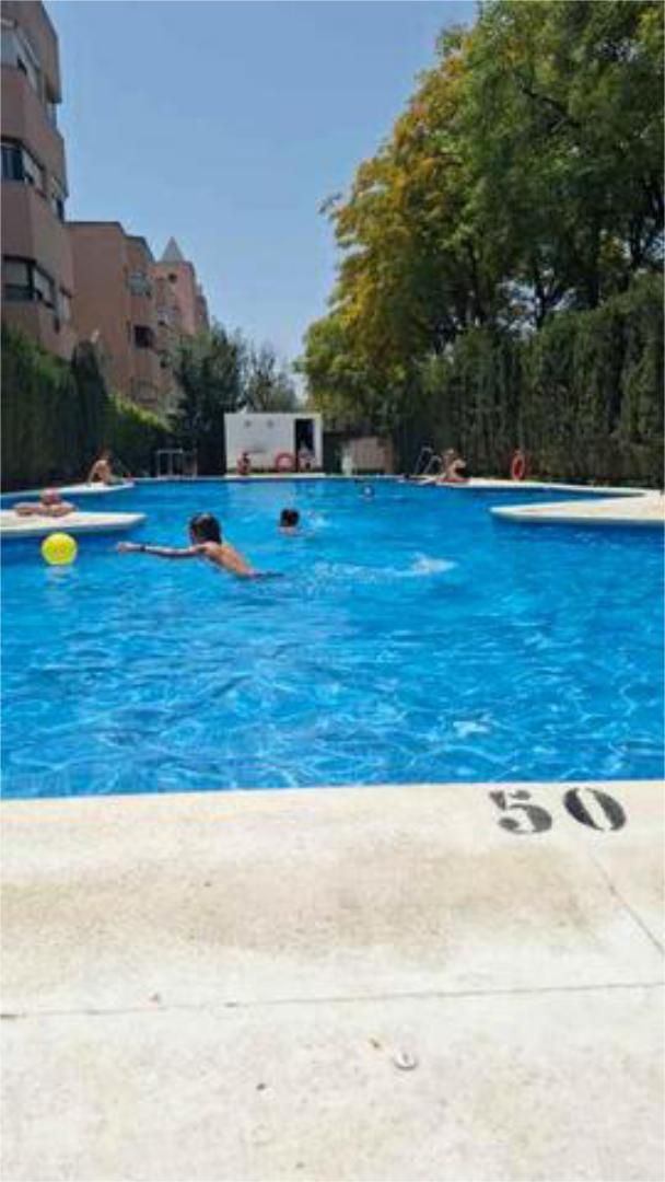 Swimming pool of Study for sale in  Sevilla Capital  with Swimming Pool