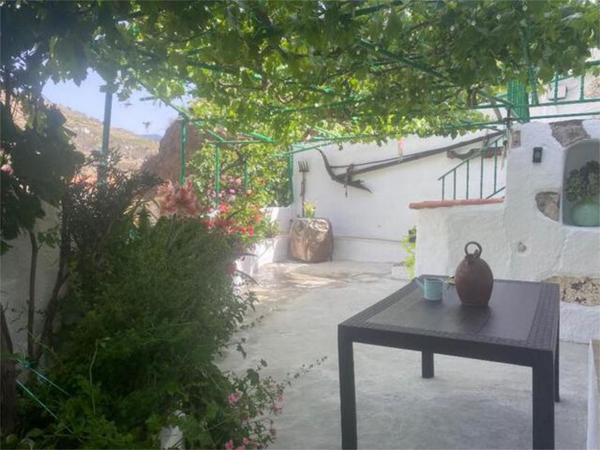 Jardí de Casa o xalet en venda en Tejeda amb Terrassa