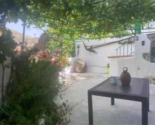 Garden of House or chalet for sale in Tejeda  with Terrace