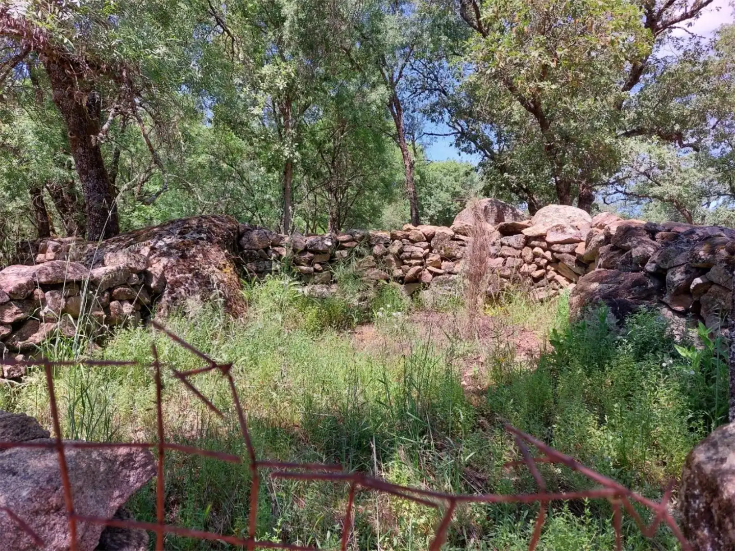 Constructible Land for sale in Torremenga