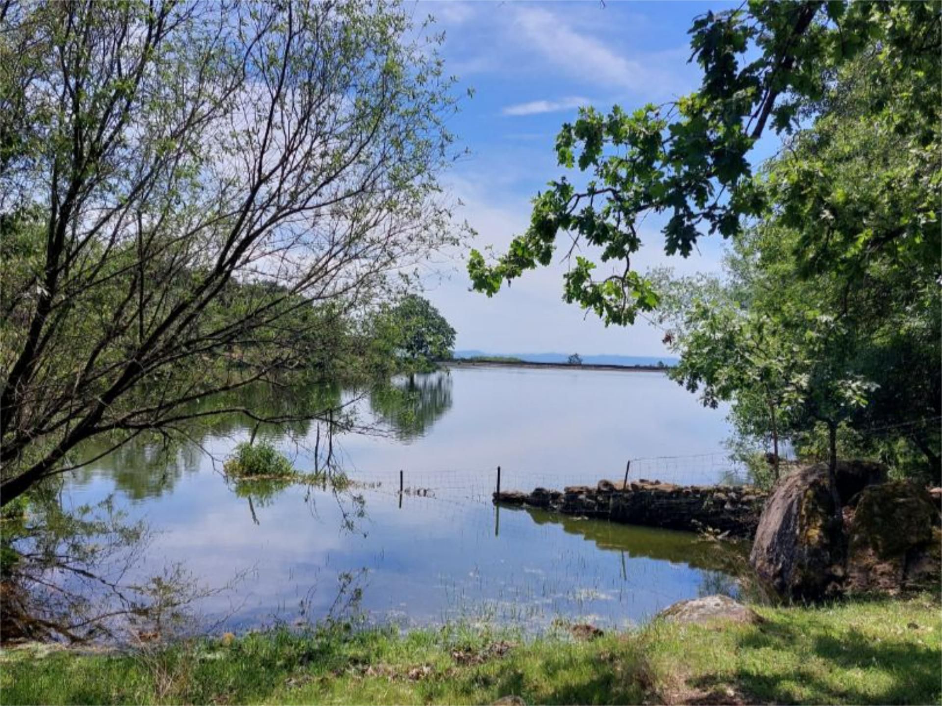 Constructible Land for sale in Torremenga