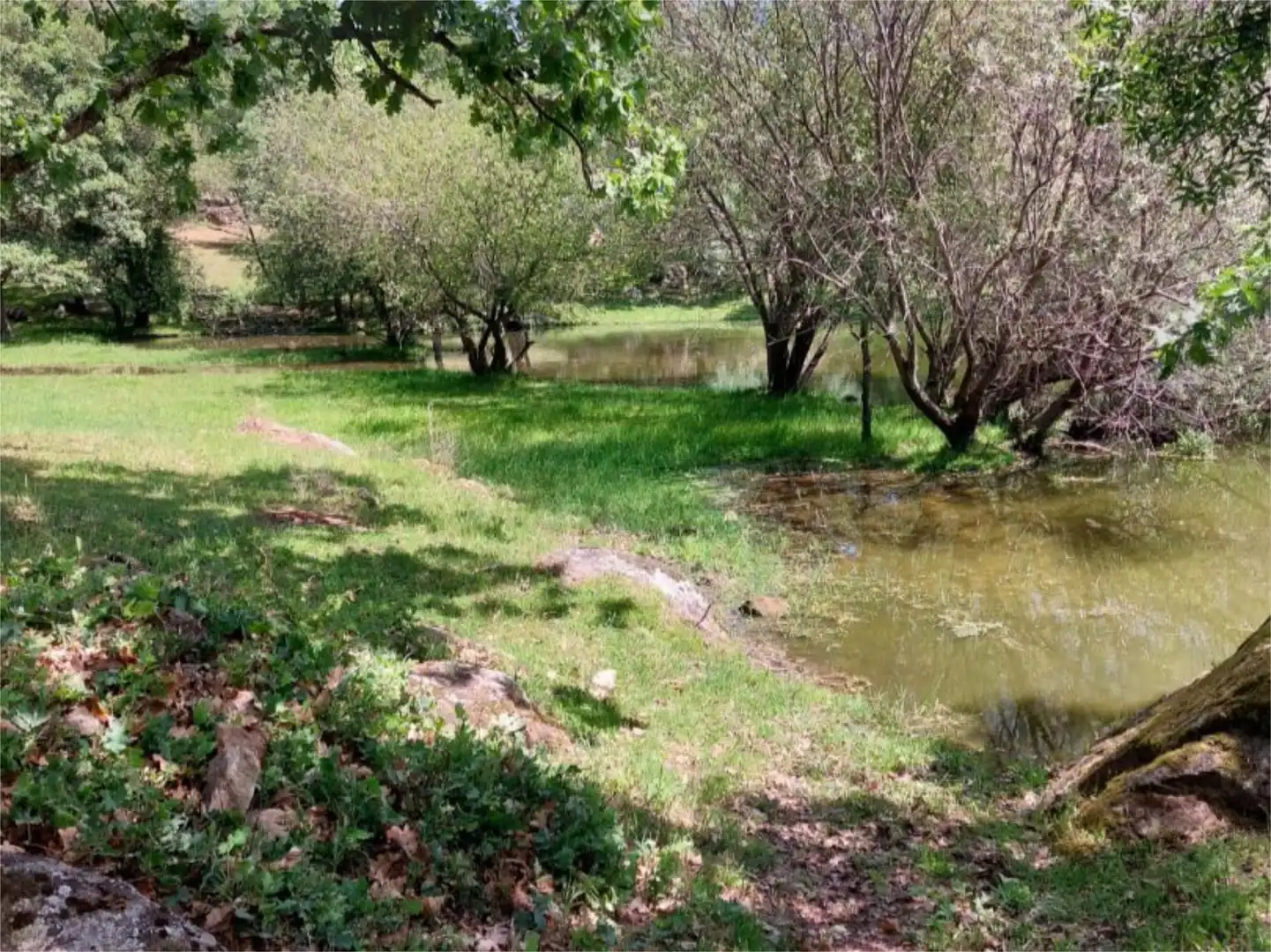 Constructible Land for sale in Torremenga