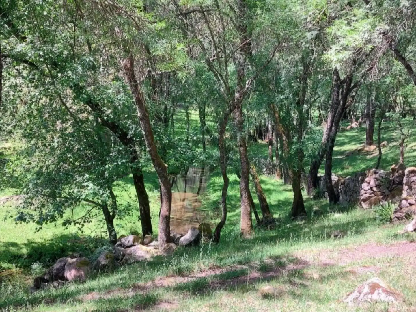 Exterior view of Constructible Land for sale in Torremenga