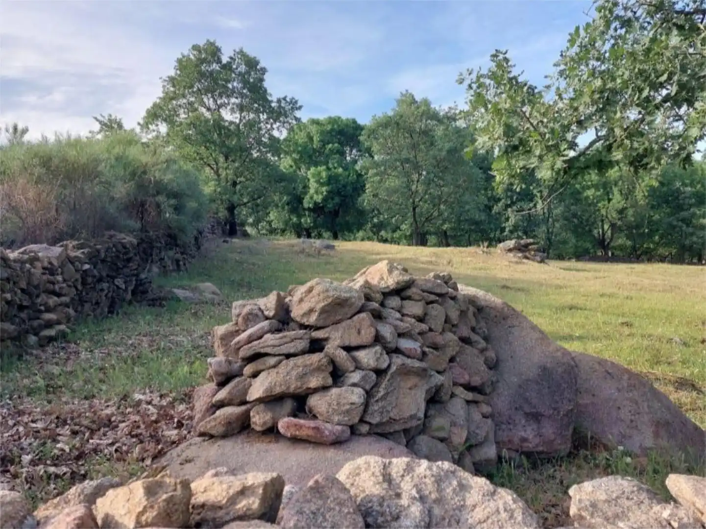 Constructible Land for sale in Torremenga