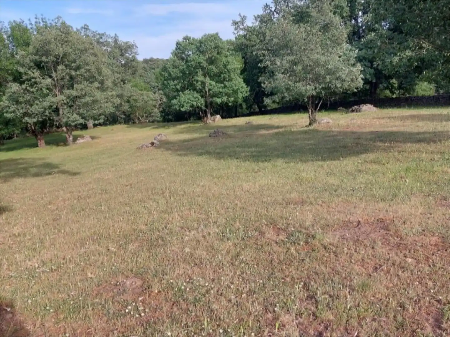 Constructible Land for sale in Torremenga