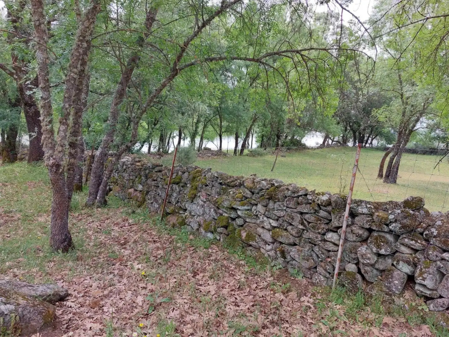 Constructible Land for sale in Torremenga