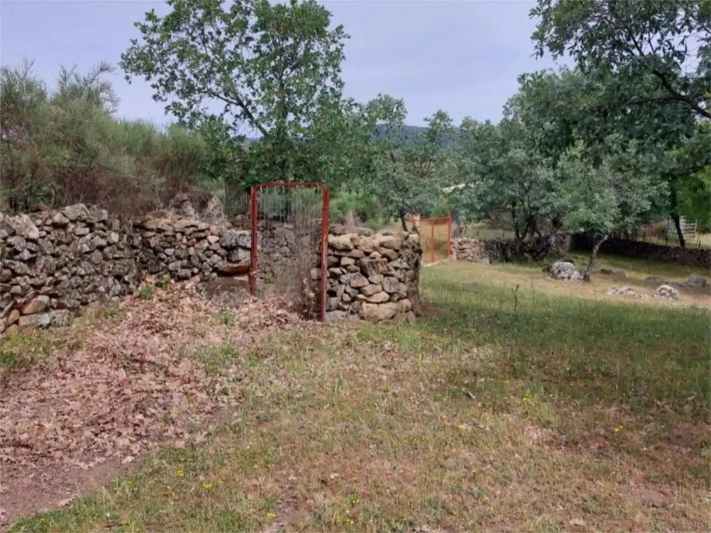 Constructible Land for sale in Torremenga