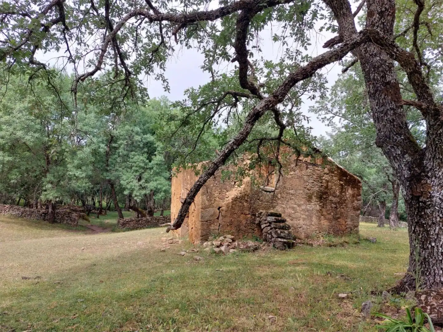Exterior view of Constructible Land for sale in Torremenga