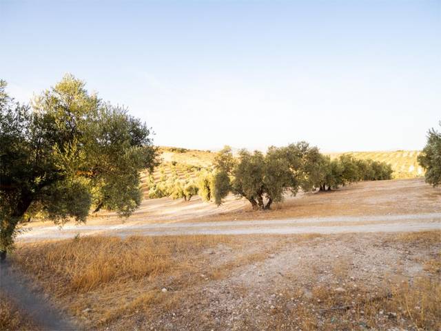Terreno en Venta en Avenida de la Constitucion, 24 en Chimeneas