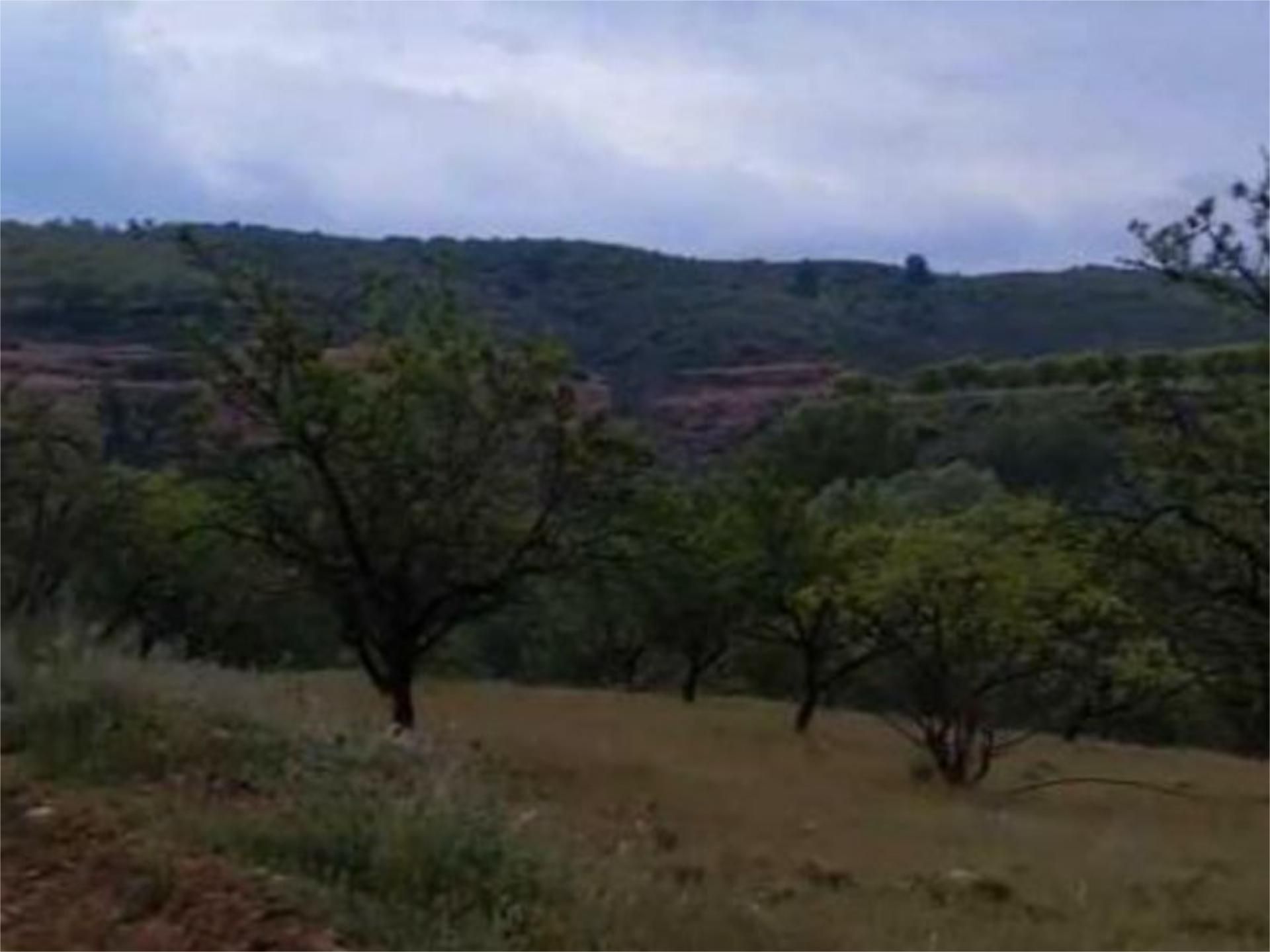 Land for sale in Tosos