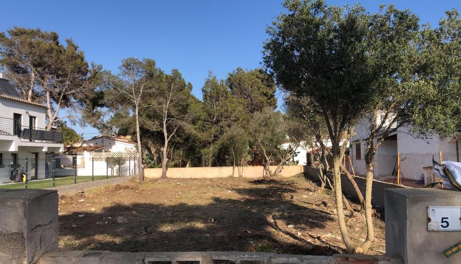 Land for sale in Avinguda del Sol, 5, El Toro, Illes Balears - image 1 Photo 1 of Land for sale in Avinguda del Sol, 5, El Toro, Illes Balears