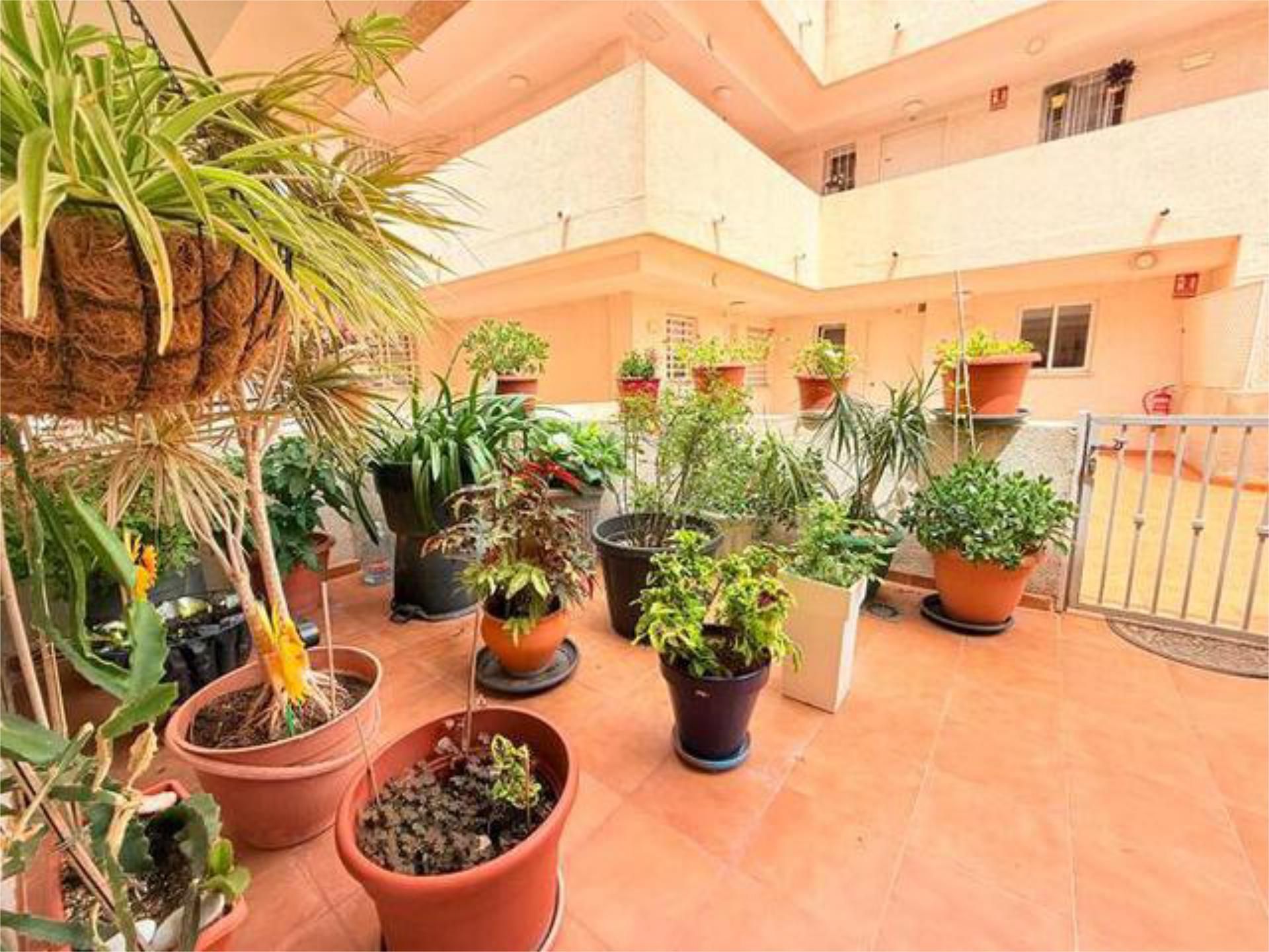 Terrace of Apartment for sale in L'Alfàs del Pi  with Terrace and Swimming Pool