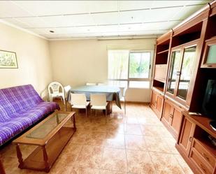 Sala d'estar de Pis per a compartir en Gandia amb Aire condicionat, Calefacció i Moblat