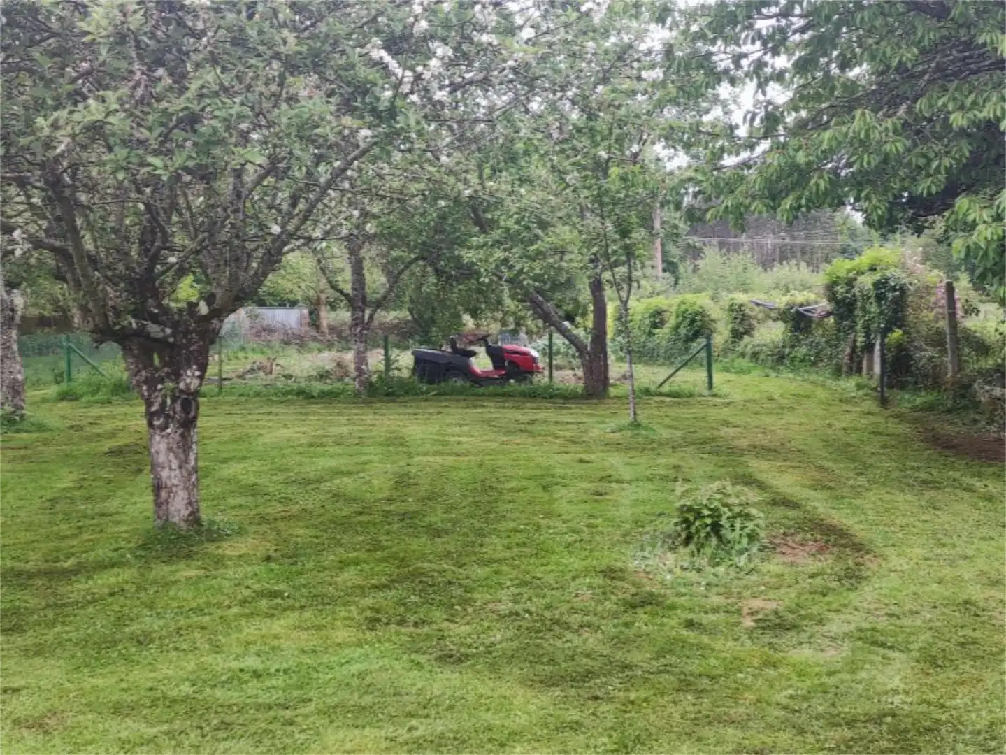 Garden of Flat for sale in Begonte  with Terrace and Balcony