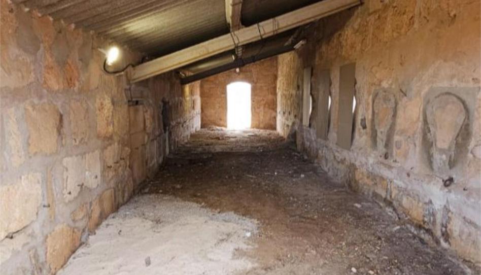 Photo 1 of Box room to rent in Street Carrer de Mallorca, 12, Campos poble, Illes Balears