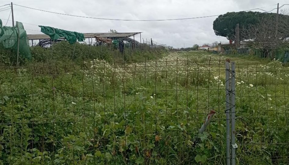 Finca rústica en venta en Diseminado Extrarradio, 57, La Algaba, Sevilla - imagen 1 Foto 1 de Finca rústica en venta en Diseminado Extrarradio, 57, La Algaba, Sevilla