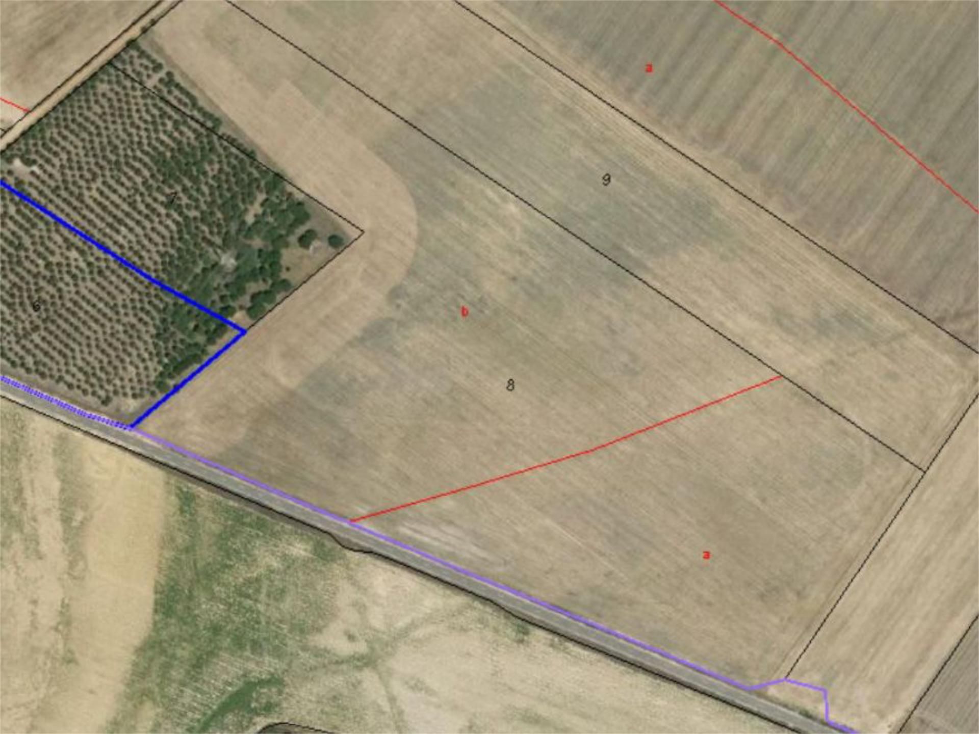 Non-constructible Land for sale in Ampudia