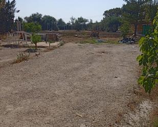 Non-constructible Land for sale in Elche / Elx