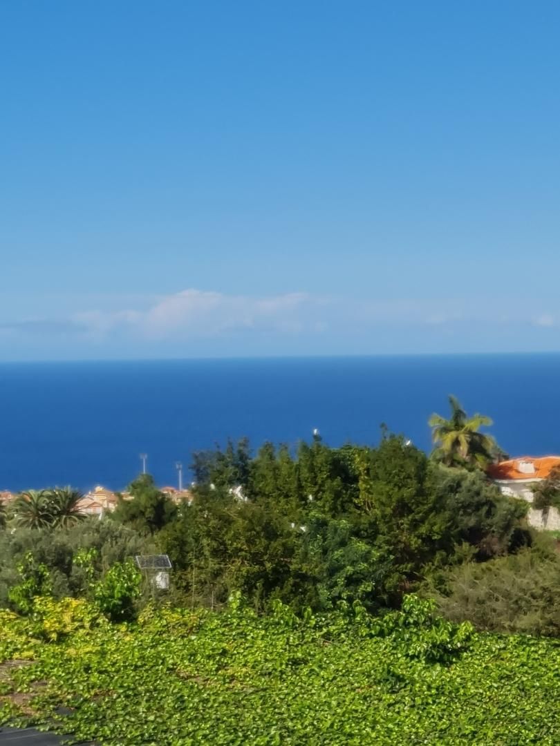 Exterior view of Country house for sale in Los Realejos  with Terrace