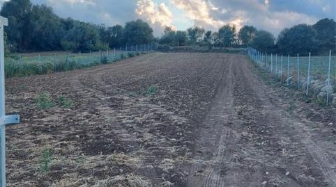 Photo 4 of Country homes for sale in Carrer de Ses Venes, 1, Maria de la Salut, Illes Balears