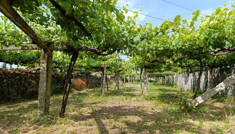 Residential zum Verkauf in Rúa Ribeira de Mouta, 5, Cambados, Pontevedra - Bild 1 Foto 1 von Residential zum Verkauf in Rúa Ribeira de Mouta, 5, Cambados, Pontevedra