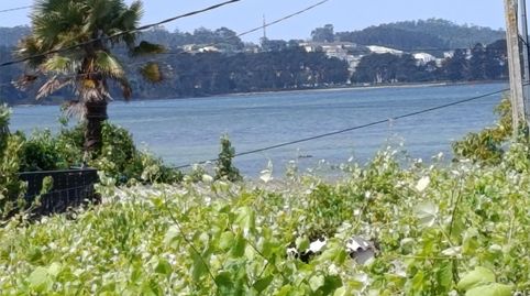 Residential zum Verkauf in Rúa Ribeira de Mouta, 5, Cambados, Pontevedra - Bild 3 Foto 3 von Residential zum Verkauf in Rúa Ribeira de Mouta, 5, Cambados, Pontevedra