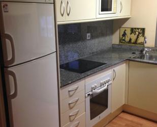 Kitchen of Flat to rent in  Lleida Capital  with Air Conditioner, Heating and Parquet flooring