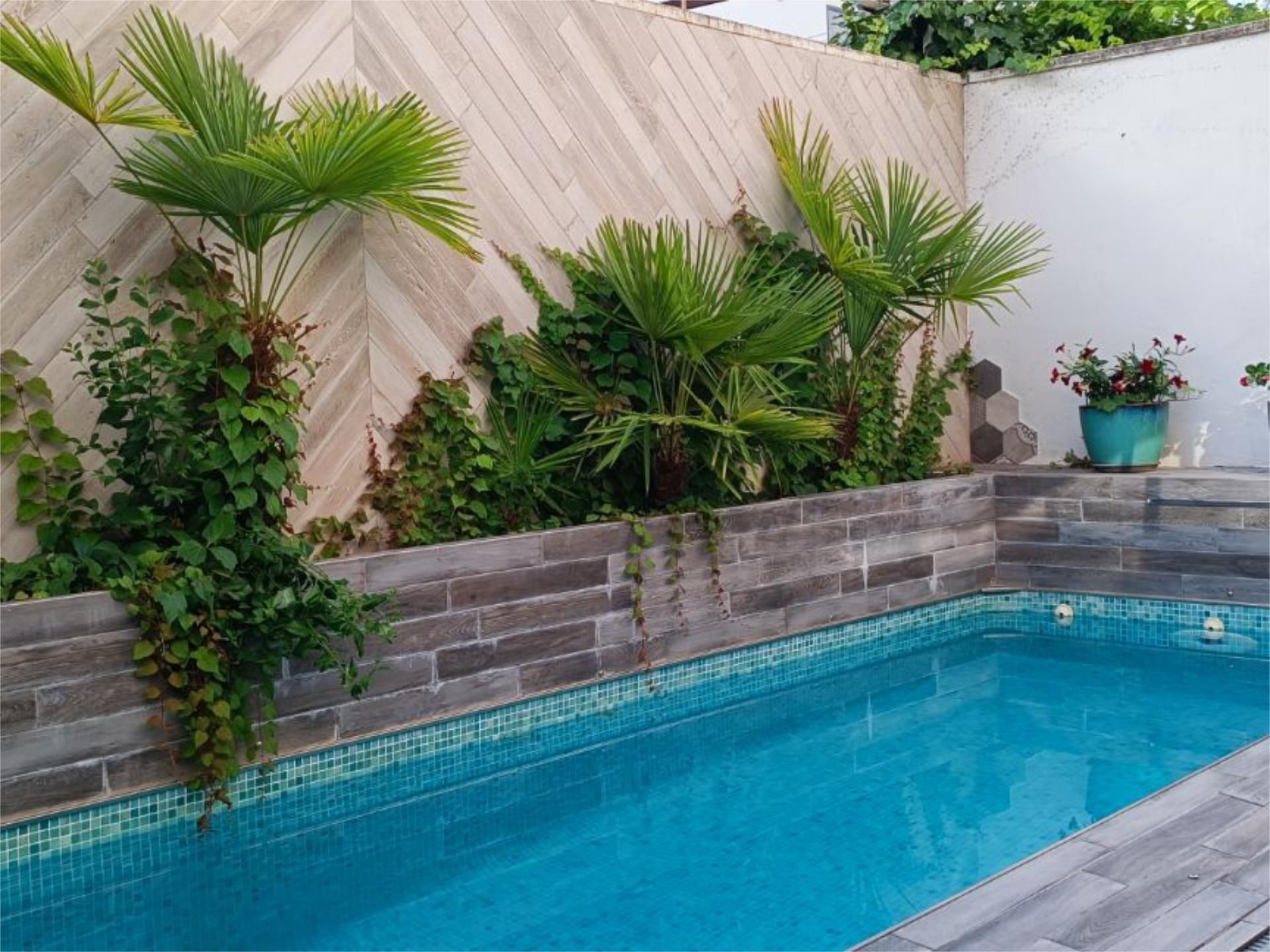 Swimming pool of Single-family semi-detached for sale in Miguelturra  with Air Conditioner, Terrace and Swimming Pool