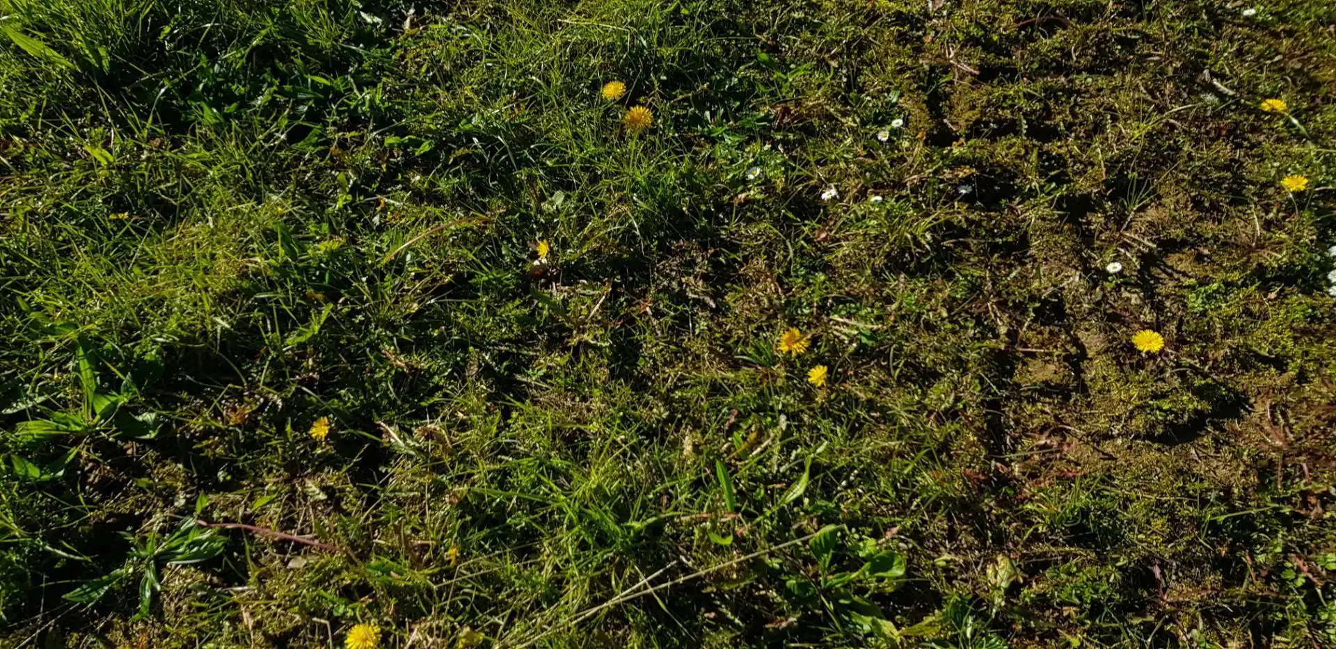 Finca rústica en venda a Llanera Jardí de Finca rústica en venda en Llanera amb Calefacció, Jardí privat i Terrassa