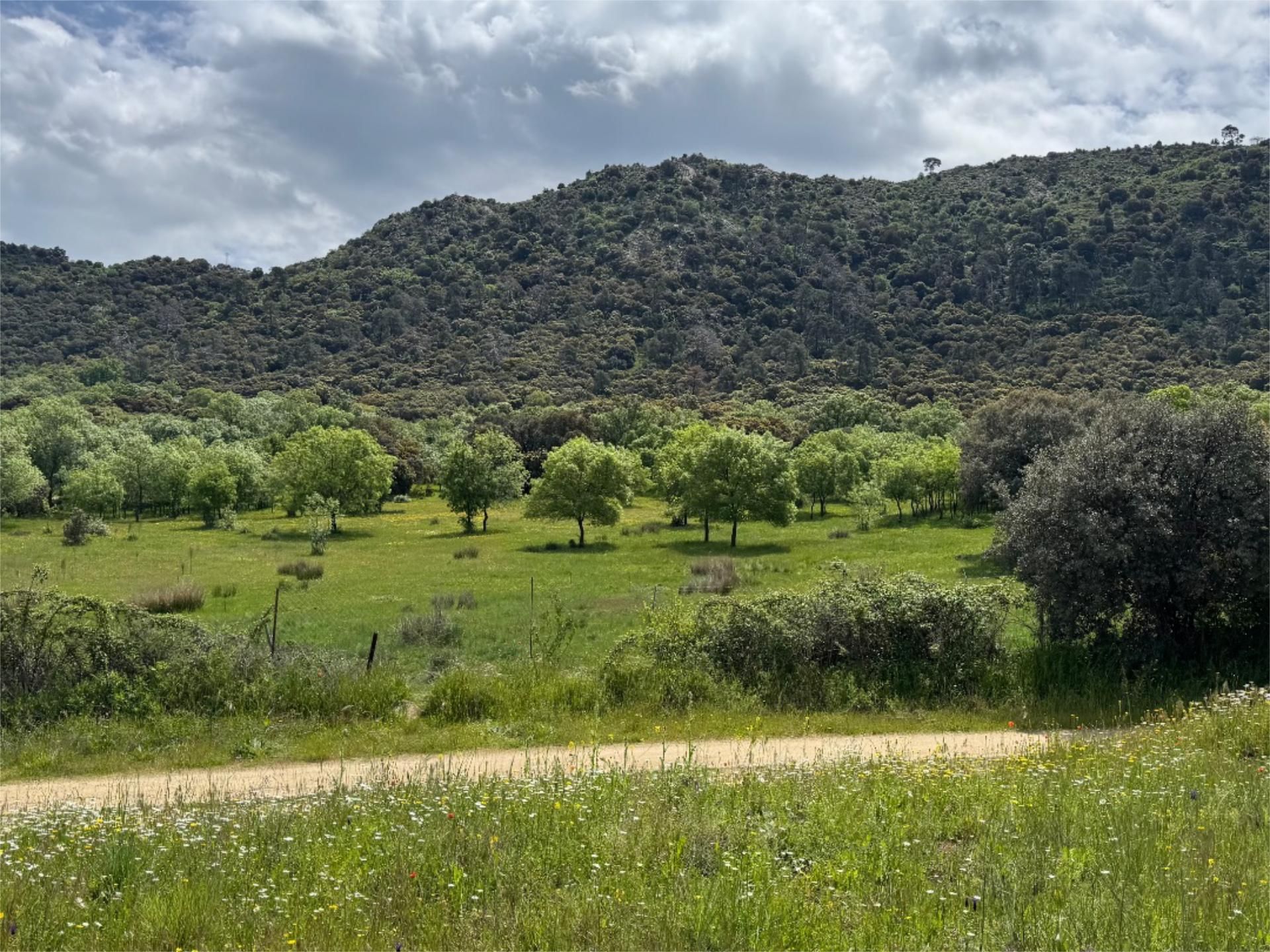 Non-constructible Land for sale in Robledo de Chavela