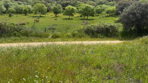 No Urbanitzable en venda a M-512, 14, Robledo de Chavela, Madrid - imatge 2 Foto 2 de No Urbanitzable en venda a M-512, 14, Robledo de Chavela, Madrid