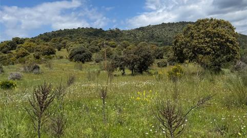 No Urbanitzable en venda a M-512, 14, Robledo de Chavela, Madrid - imatge 4 Foto 4 de No Urbanitzable en venda a M-512, 14, Robledo de Chavela, Madrid