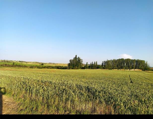 Finca rústica en Alquiler en Calle Umbria, 8 en Barca