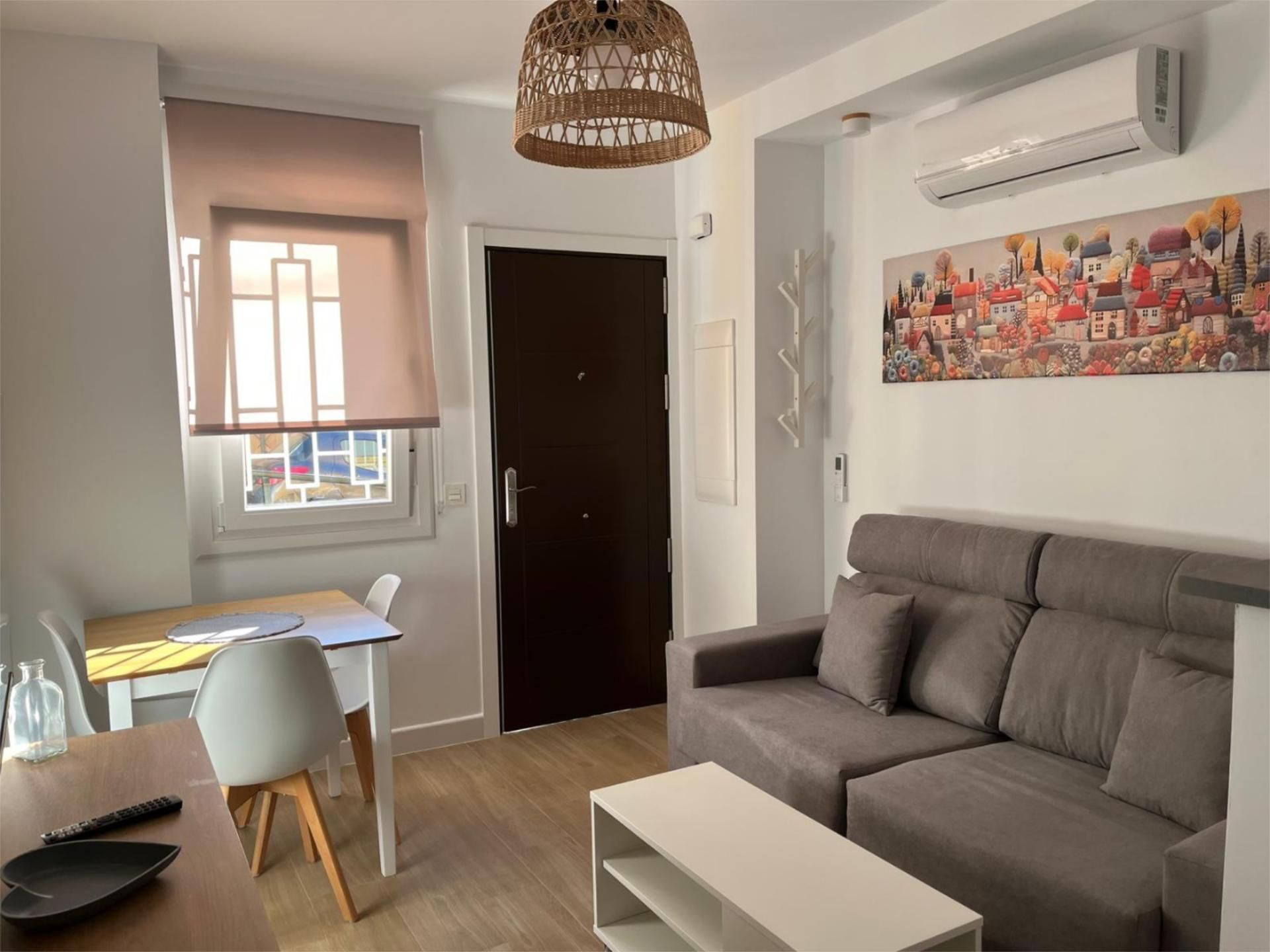 Living room of Flat to rent in Málaga Capital  with Air Conditioner, Heating and Furnished
