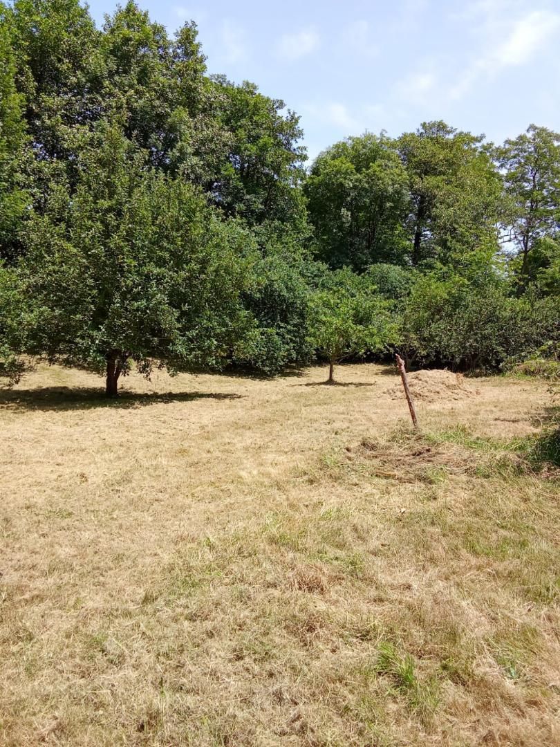 Non-constructible Land for sale in Noreña