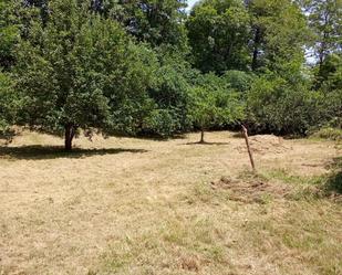 Non-constructible Land for sale in Noreña