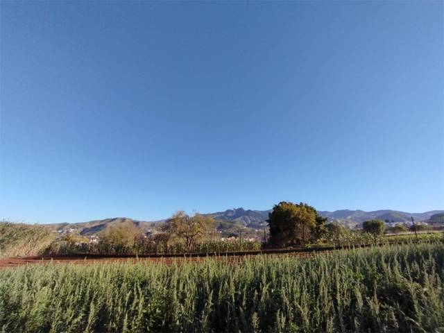 Terreno no urbanizable en Venta en Camino la Cuesta del Piquillo, 13 en Vega de San Mateo