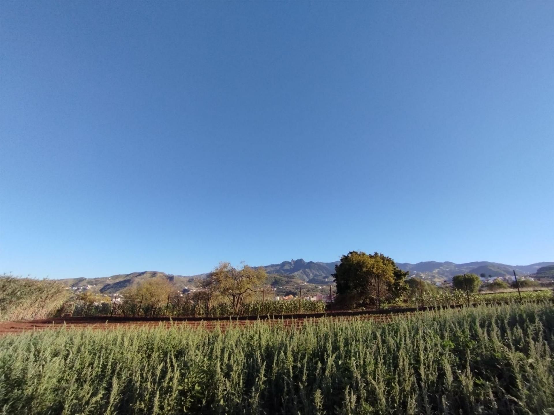 Exterior view of Non-constructible Land for sale in Vega de San Mateo