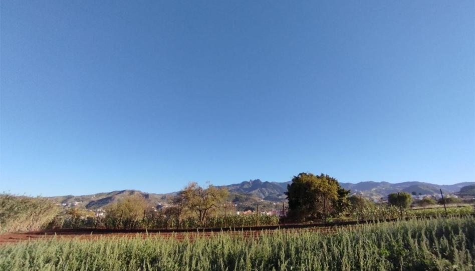 Non-constructible Land for sale in Camino la Cuesta del Piquillo, 13, Vega de San Mateo, Las Palmas - image 1 Photo 1 of Non-constructible Land for sale in Camino la Cuesta del Piquillo, 13, Vega de San Mateo, Las Palmas
