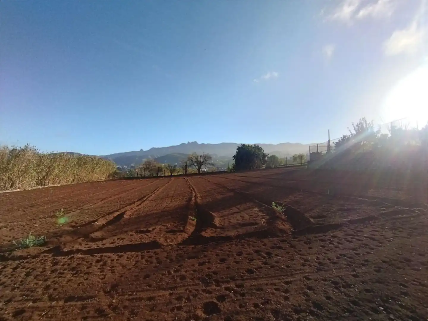 Non-constructible Land for sale in Vega de San Mateo