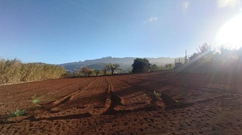 Non-constructible Land for sale in Camino la Cuesta del Piquillo, 13, Vega de San Mateo, Las Palmas - image 2 Photo 2 of Non-constructible Land for sale in Camino la Cuesta del Piquillo, 13, Vega de San Mateo, Las Palmas