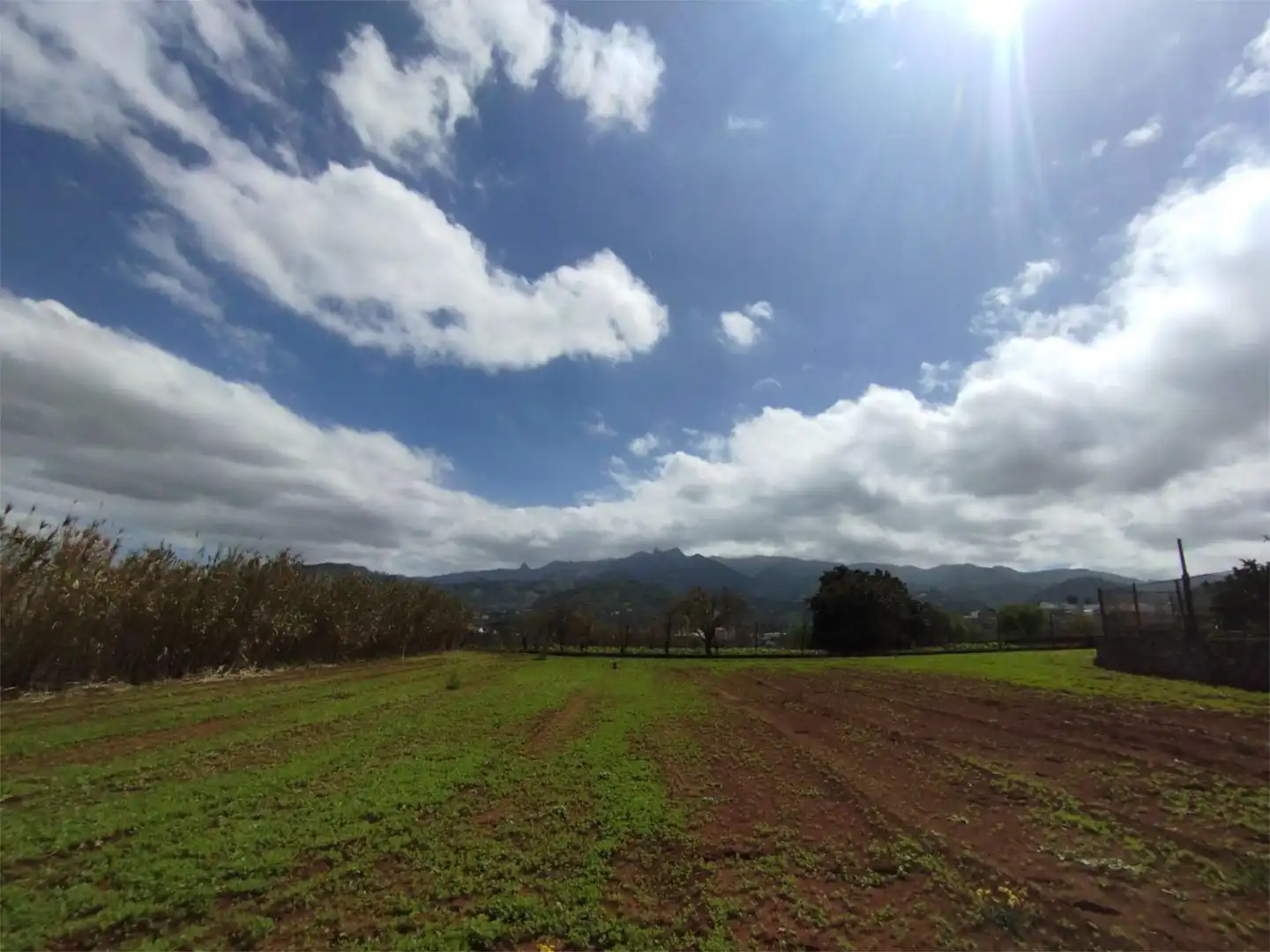 Exterior view of Non-constructible Land for sale in Vega de San Mateo