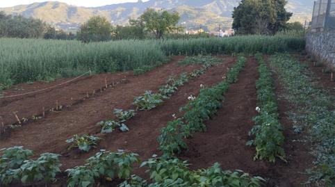 Non-constructible Land for sale in Camino la Cuesta del Piquillo, 13, Vega de San Mateo, Las Palmas - image 4 Photo 4 of Non-constructible Land for sale in Camino la Cuesta del Piquillo, 13, Vega de San Mateo, Las Palmas