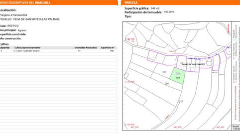Non-constructible Land for sale in Camino la Cuesta del Piquillo, 13, Vega de San Mateo, Las Palmas - image 5 Photo 5 of Non-constructible Land for sale in Camino la Cuesta del Piquillo, 13, Vega de San Mateo, Las Palmas
