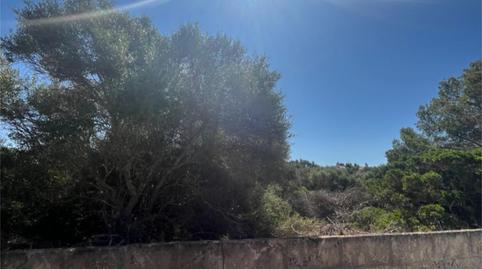 Constructible Land for sale in Carrer Copinyes, 16, S'Estanyol, Illes Balears - image 3 Photo 3 of Constructible Land for sale in Carrer Copinyes, 16, S'Estanyol, Illes Balears