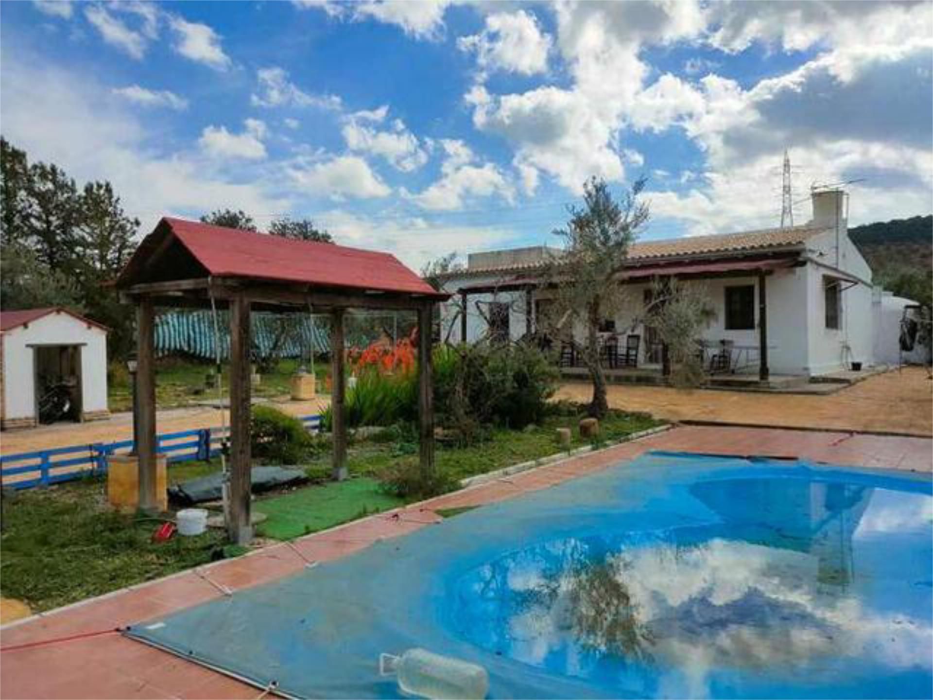 Piscina de Casa adosada en venda en El Saucejo amb Jardí privat, Terrassa i Traster