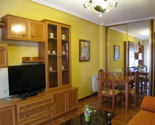 Living room of Flat to rent in Aranda de Duero  with Heating, Parquet flooring and Furnished